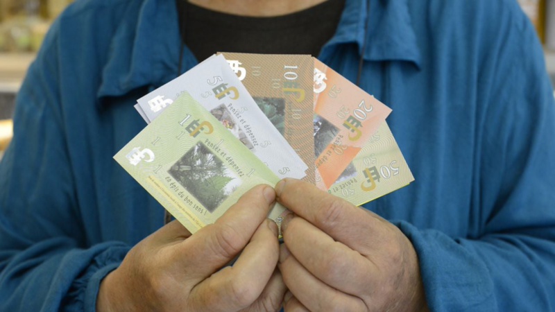 les monnaies complémentaires: l'avenir économique viendrait-il du local? les monnaies complémentaires: l'avenir économique viendrait-il du local?