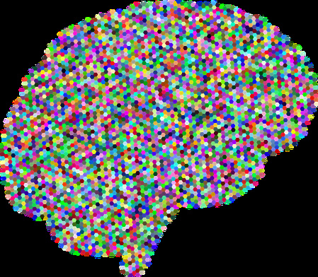 L’intelligence artificielle dans tous ses états L’intelligence artificielle dans tous ses états