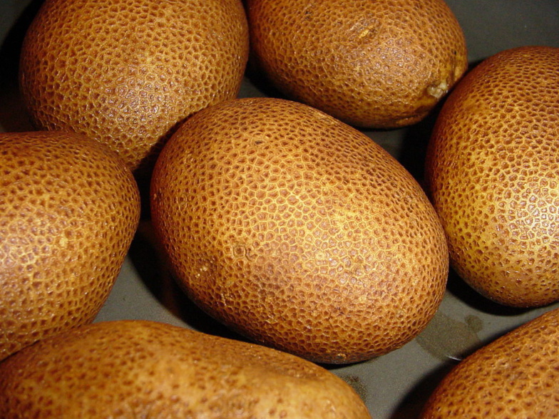 Pomme de terre OGM : des problèmes cachés ? Pomme de terre OGM : des problèmes cachés ?