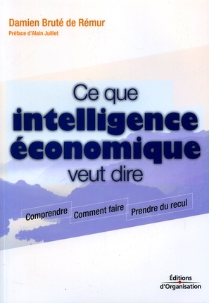 Damien Bruté de Rémur: "les actifs d’entreprise sont constitués à 87% d’informations" Damien Bruté de Rémur: "les actifs d’entreprise sont constitués à 87% d’informations"