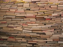 La standardisation de la culture ? La standardisation de la culture ?