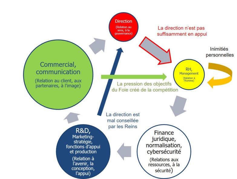 Le modèle des 5 énergies taoïstes