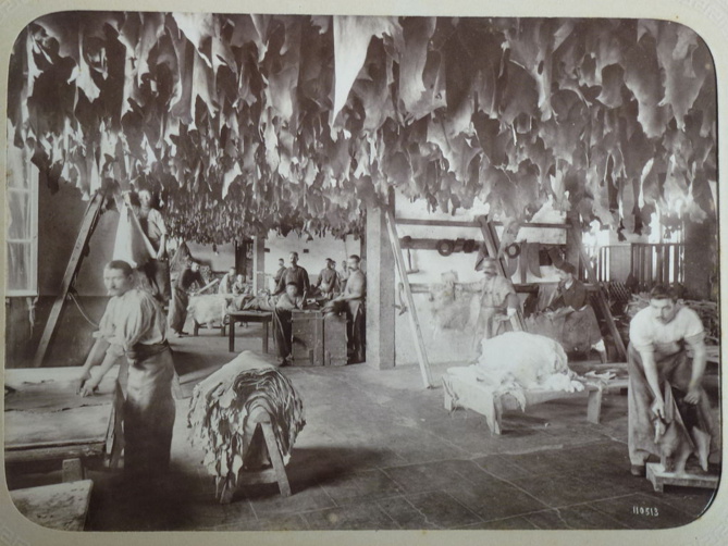 Crédit: Wikimedia Commons Crédit: Wikimedia Commons