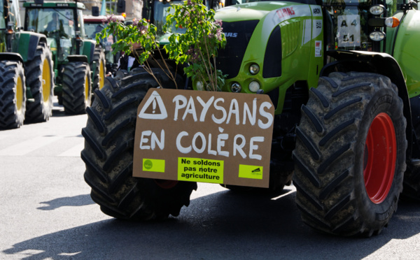 La jacquerie des tracteurs : racines et perspectives