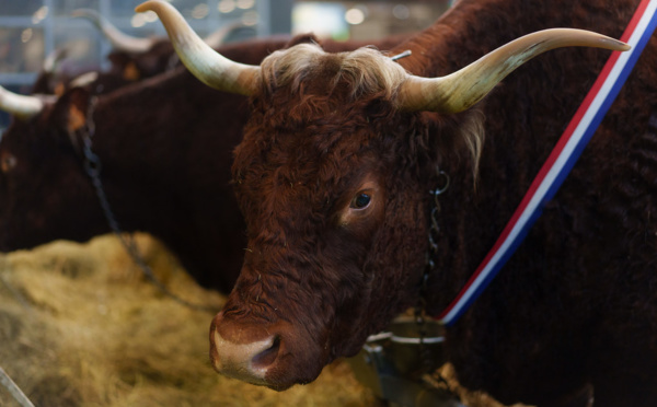 Le Salon de l'agriculture : un rideau politique face à l'impuissance de la France vis-à-vis de l'UE